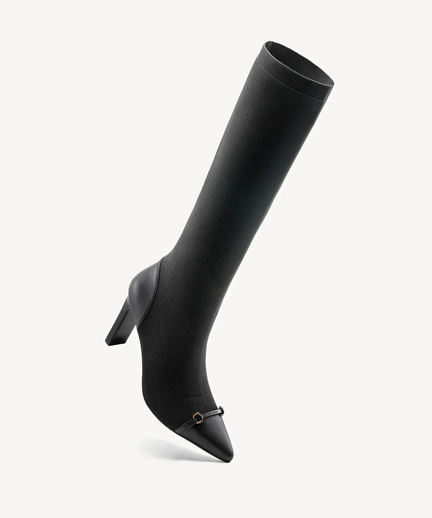 LuxeBit Pointed Toe Heeled High Boot - Image 3